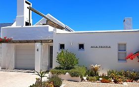 Milk Thistle Loft & Studio Apartments